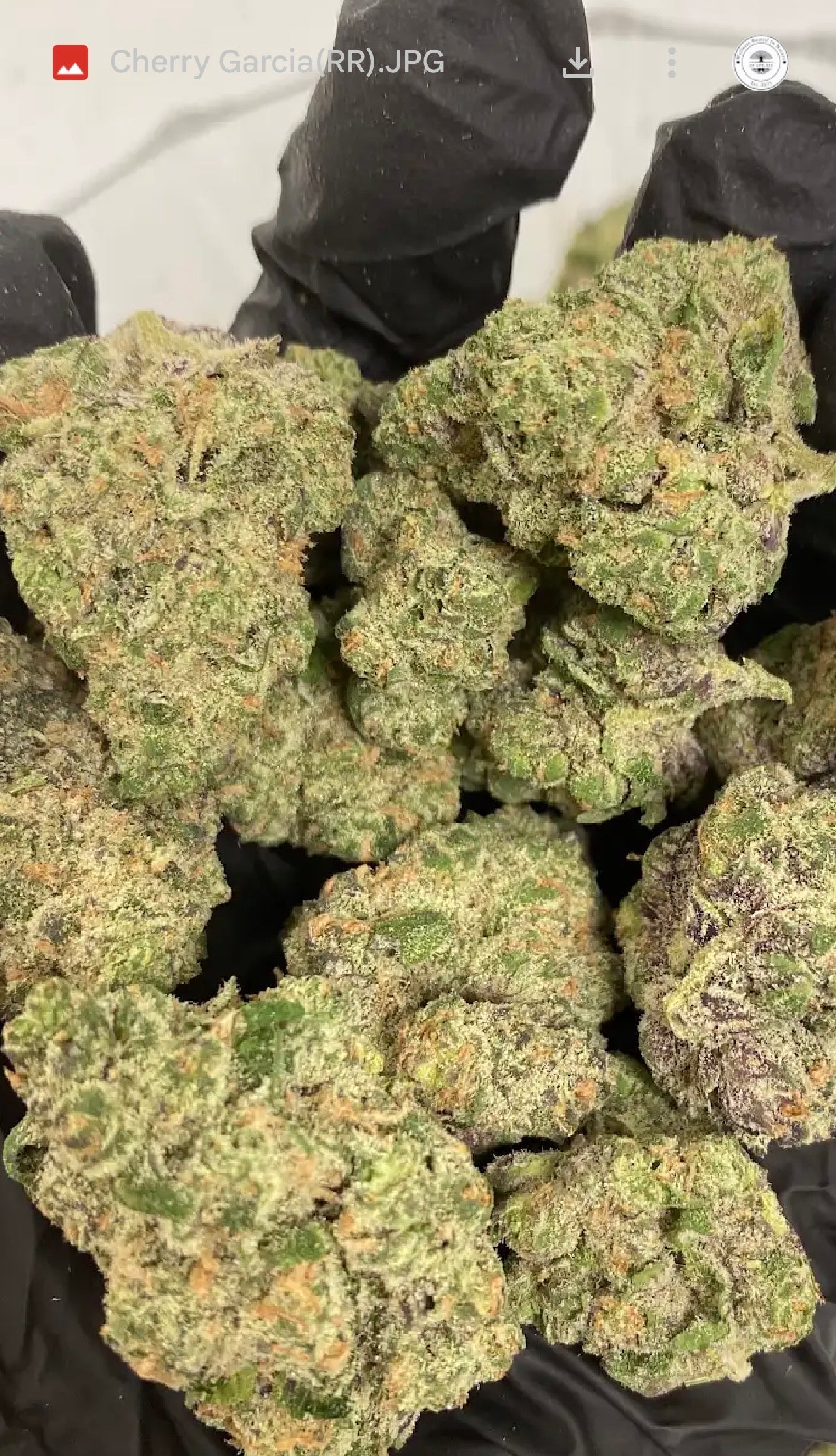 Cherry Garcia